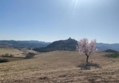 Chalet independiente con terreno en venta en la España, Lorca, ref: TR151921 foto