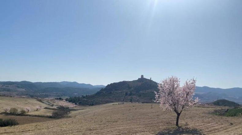 Murcia - Lorca - 75000m2