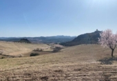 Chalet independiente con terreno en venta en la España, Lorca, ref: TR151921 foto