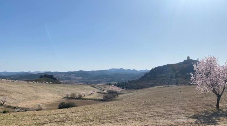 Murcia - Lorca - 75000m2