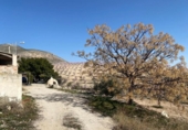Chalet independiente con terreno en venta en la España, Lorca, ref: TR151921 foto