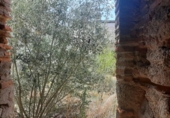 Casa de poble en venda a la España, Malpartida de Cáceres, ref.: TR298622 foto