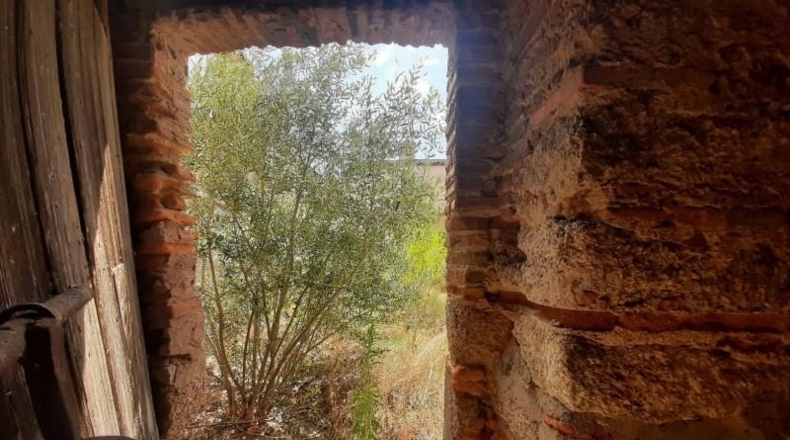 Cáceres - Malpartida de Cáceres - 450m2