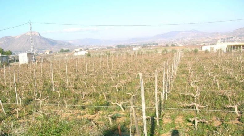 Alicante - Asp - 10500m2