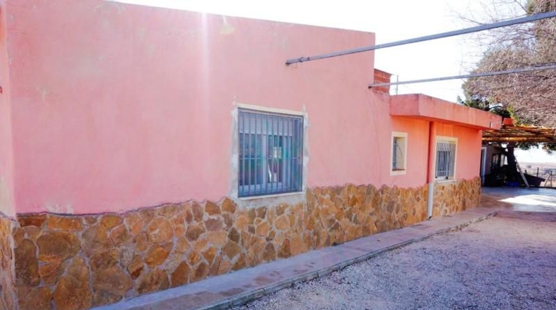 Alicante - Pinoso - 6000m2