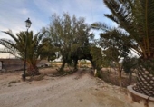 Casa de camp amb terreny en venda a la España, el Pinós, ref.: TR155200 foto