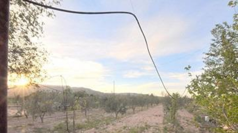 Alicante - Pinoso - 6000m2
