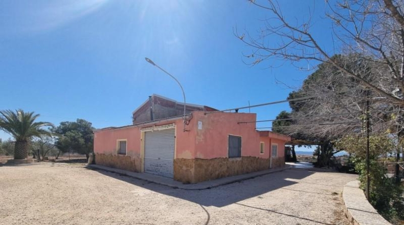 Alicante - Pinoso - 6000m2