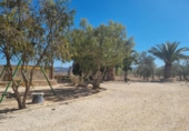 Casa de camp amb terreny en venda a la España, el Pinós, ref.: TR155200 foto
