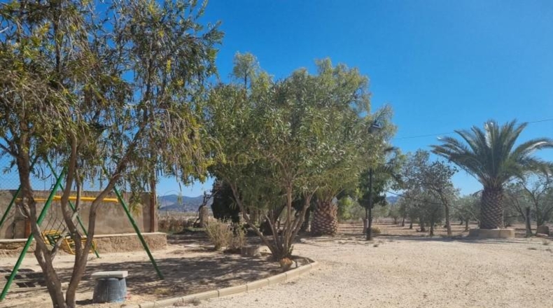Alicante - Pinoso - 6000m2