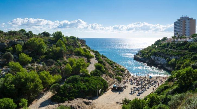Balearic Islands - Manacor - 768m2