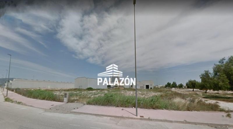 Alicante - Callosa de Segura - 1000m2