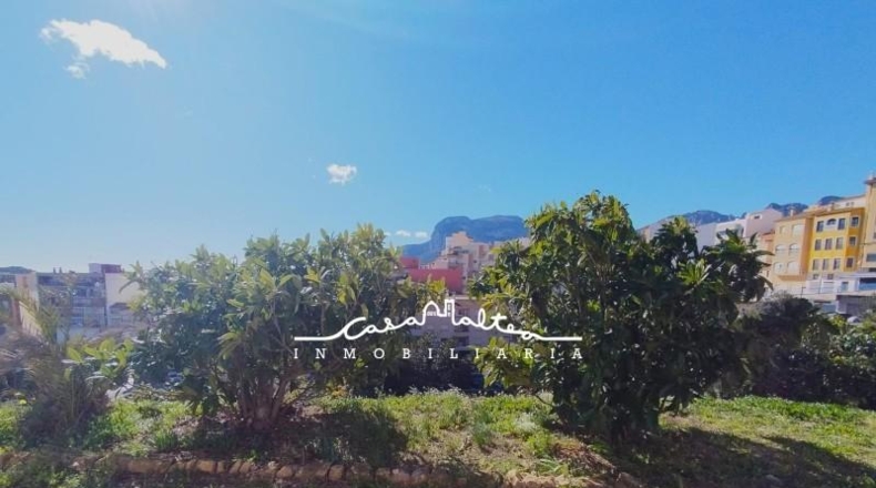 Alicante - Callosa de Ensarriá - 846m2