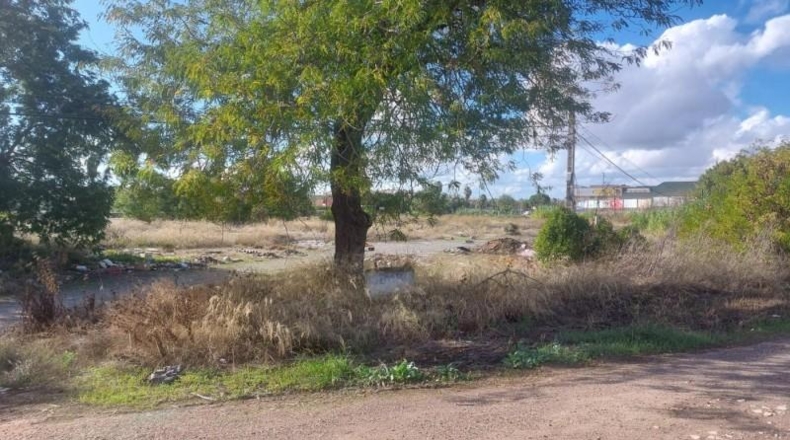Badajoz - Badajoz - 527m2
