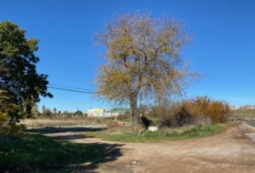 Badajoz 36537&nbsp;m² 