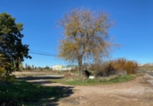 Земля на продажу у города Бадахос Фото