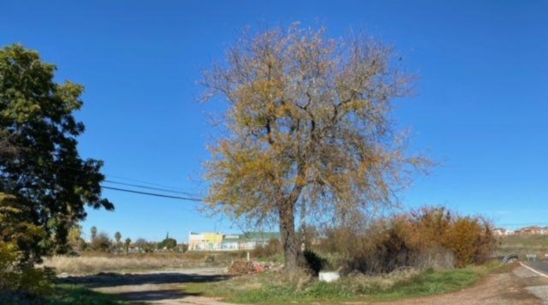 Badajoz - Badajoz - 36537m2