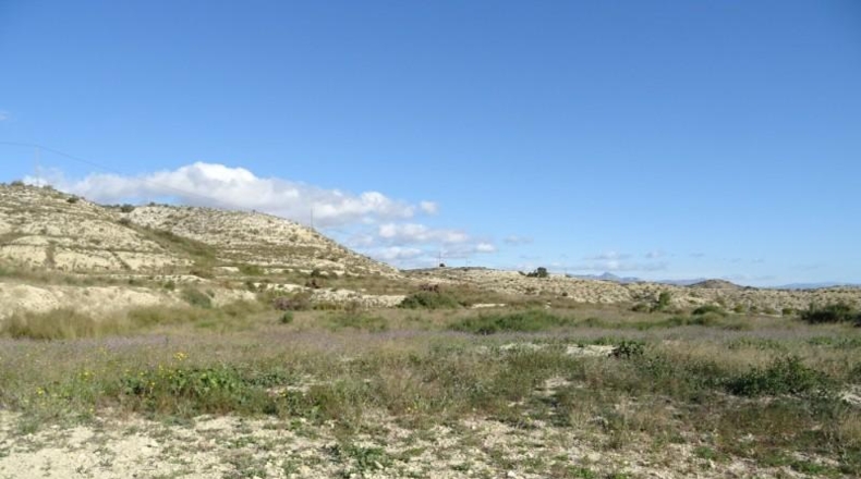 Alicante - Aspe - 10000m2