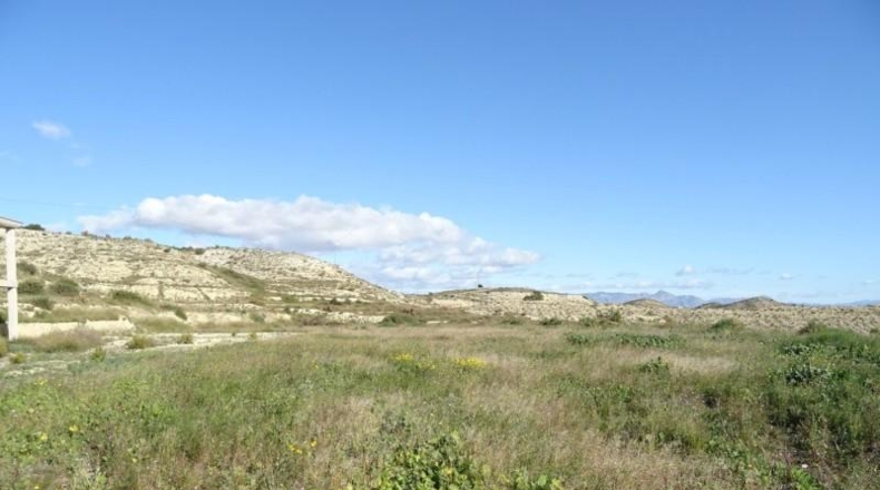 Alicante - Aspe - 10000m2