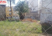 Casa amb terreny en venda a la España, Oriola, ref.: TR298670 foto