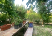 Casa de campo con terreno en venta en la España, Murcia, ref: TR276440 foto
