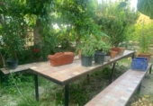 Casa de campo con terreno en venta en la España, Murcia, ref: TR276440 foto