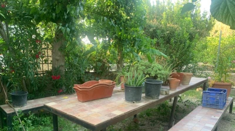 Murcia - Murcia - 3000m2