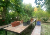 Casa de campo con terreno en venta en la España, Murcia, ref: TR276440 foto