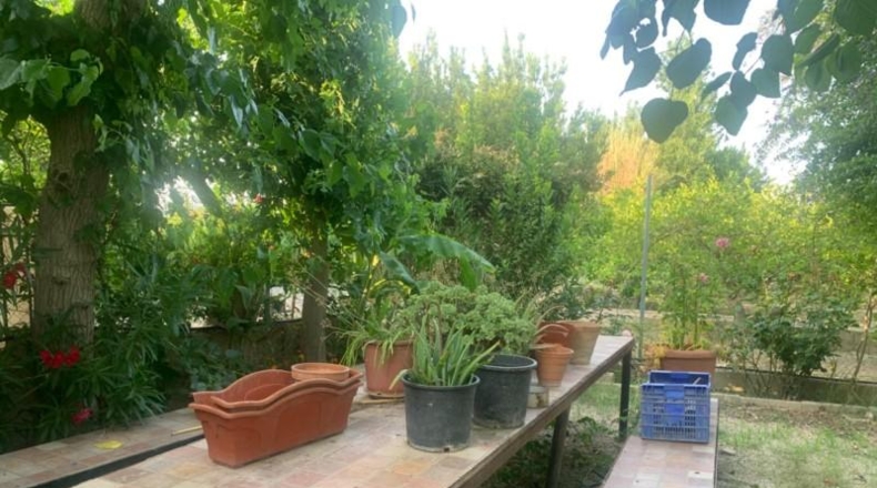 Murcia - Murcia - 3000m2