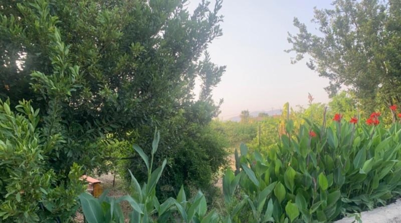 Murcia - Murcia - 3000m2