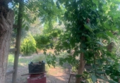 Casa de campo con terreno en venta en la España, Murcia, ref: TR276440 foto