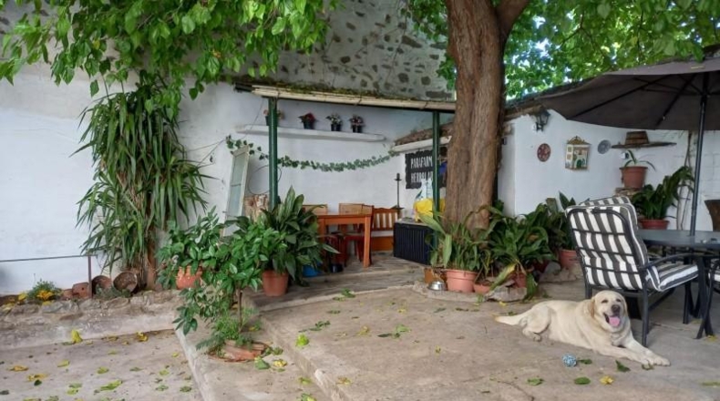 Cáceres - Brozas - 180m2