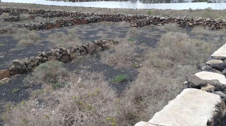 Las Palmas - Teguise - 1200m2
