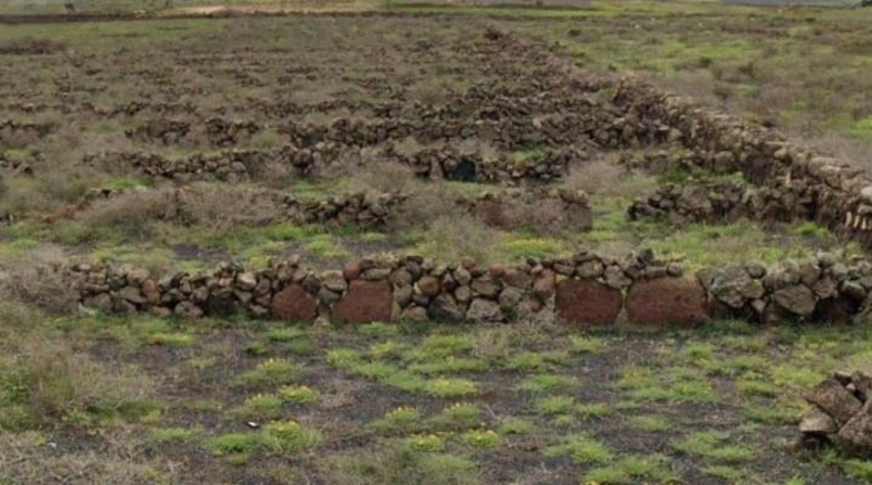 Las Palmas - Teguise - 1200m2