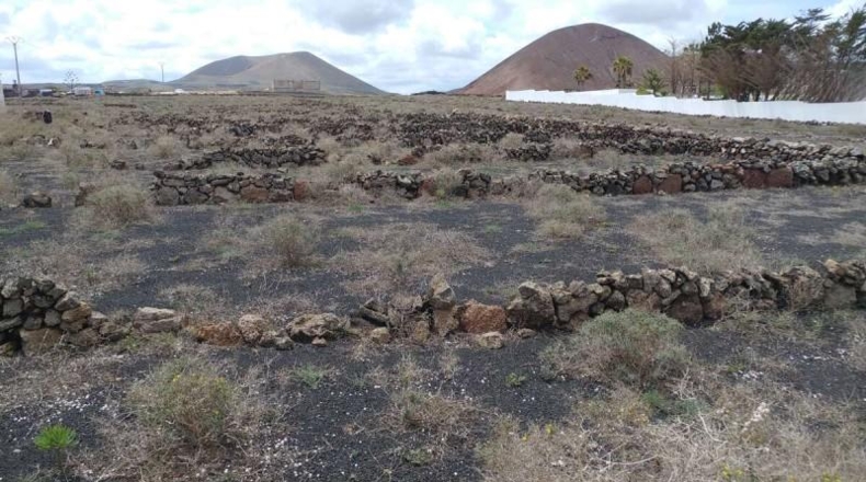 Las Palmas - Teguise - 1200m2