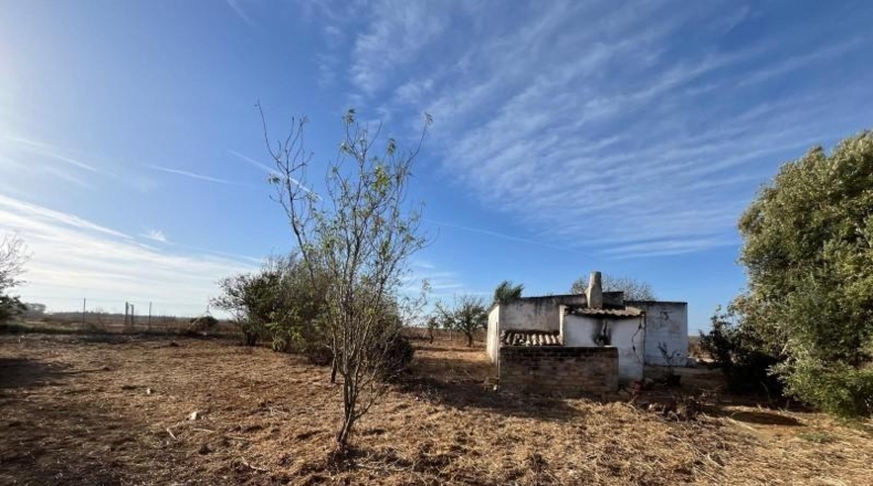 Cádiz - Chiclana de la Frontera - 7000m2