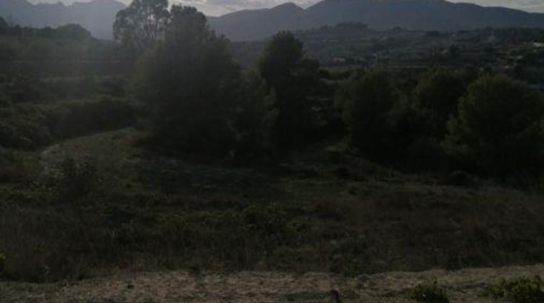 Alicante - Benisa - 14000m2