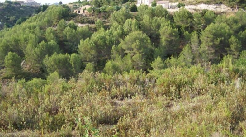 Alicante - Benisa - 14000m2