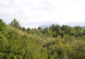 Parcel·la urbanitzable en venda a la España, Benissa, ref.: TR226266 foto
