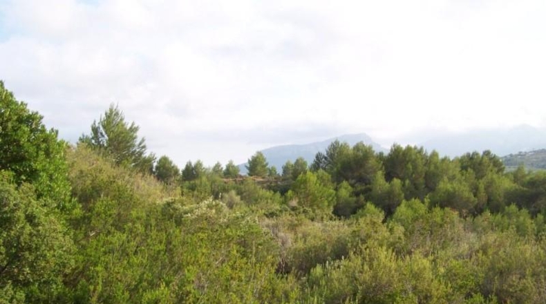 Alicante - Benisa - 14000m2