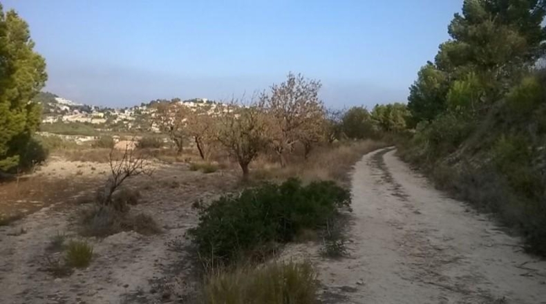 Аликанте - Calpe - 16570m2