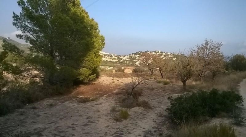 Аликанте - Calpe - 16570m2