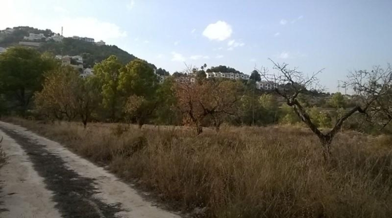 Аликанте - Calpe - 16570m2
