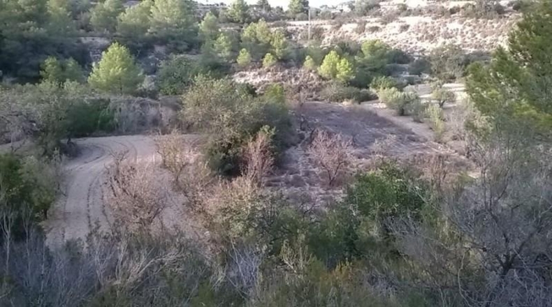 Аликанте - Calpe - 16570m2