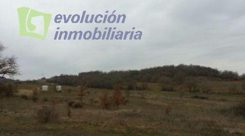 Burgos - Modúbar de la Emparedada - 7800m2