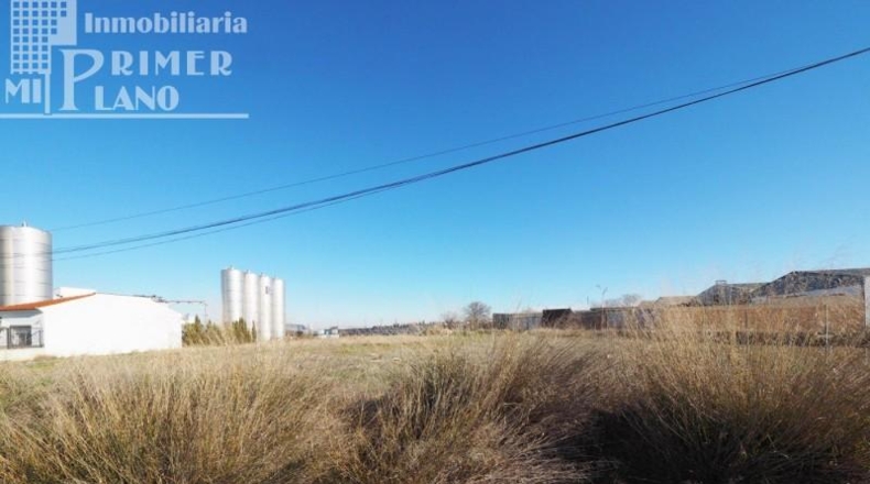 Ciudad Real - Tomelloso - 3335m2