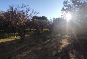Marchena 2639&nbsp;м²