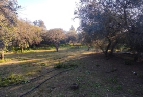 Marchena 2639&nbsp;м²