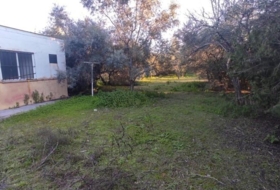 Marchena 2639&nbsp;м²