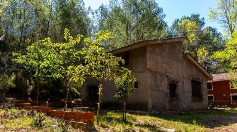 Castellón - Castellón de la Plana - 10000m2